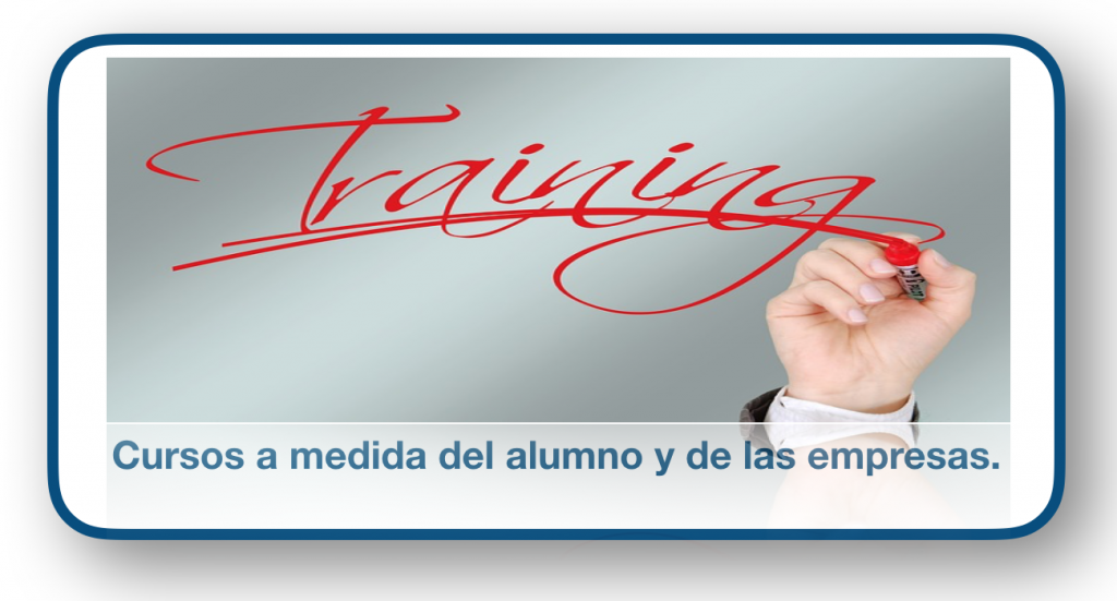 cursos a medida de las empresas y los alumnos ditecan training