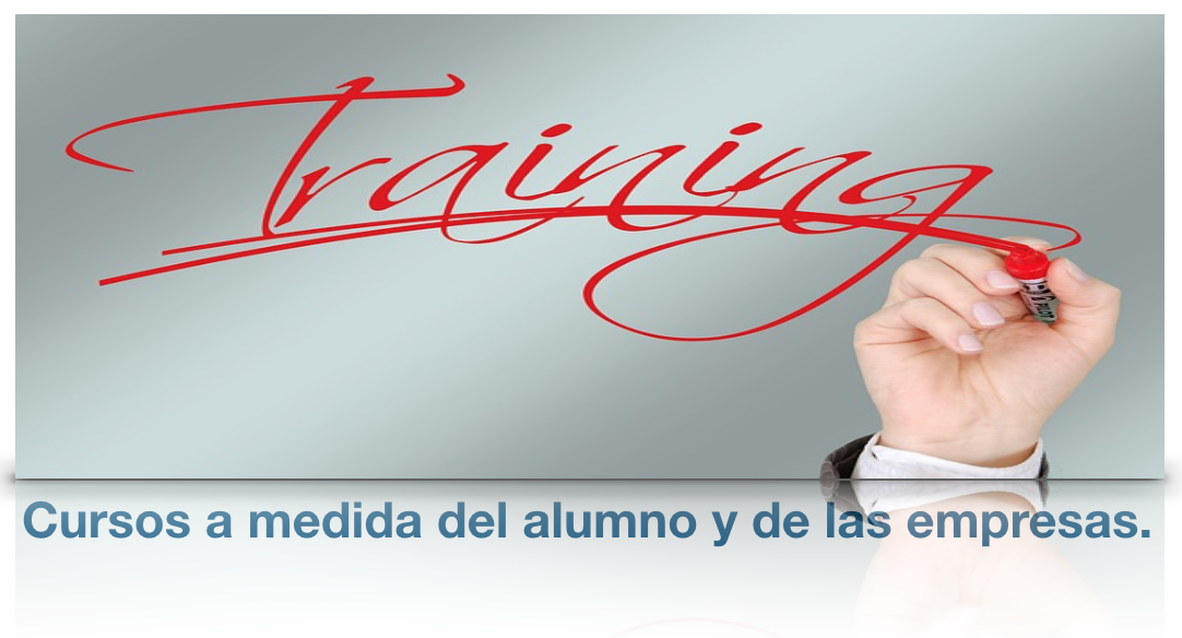 cursos a medida de las empresas y los alumnos